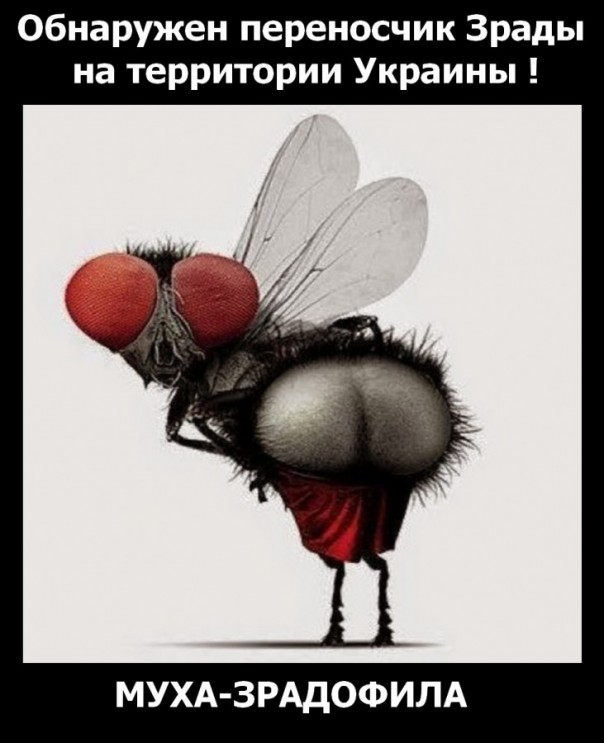 "Мыздобулы" в картинках. Смешных и не очень... 17-12-2016 "Мыздобулы" в картинках. Смешных и не очень... 17-12-2016