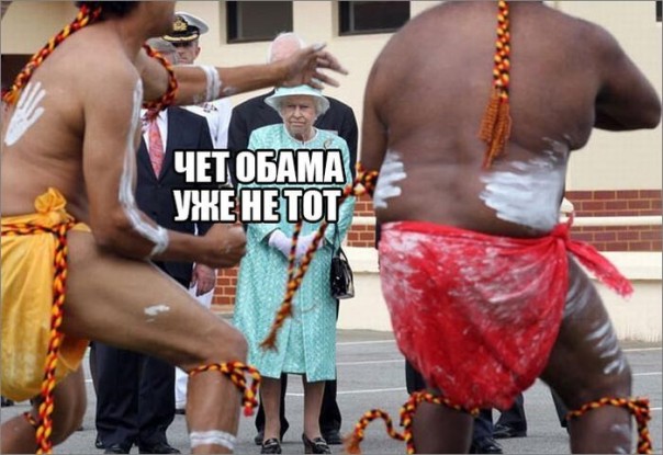 "Мыздобулы" в картинках. Смешных и не очень... 17-12-2016 "Мыздобулы" в картинках. Смешных и не очень... 17-12-2016