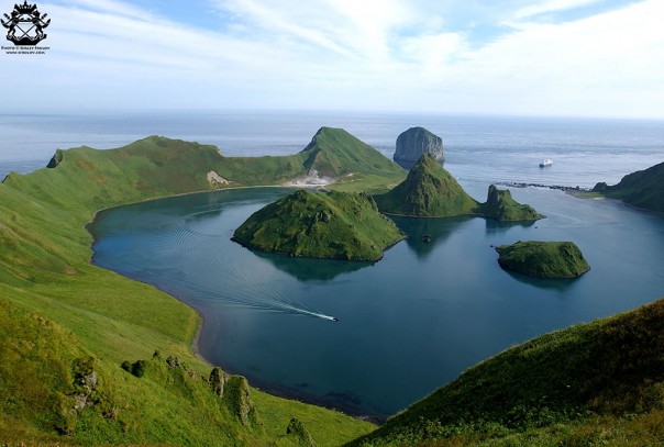 А чего вы ждали, японцы?! Андрей Князев
