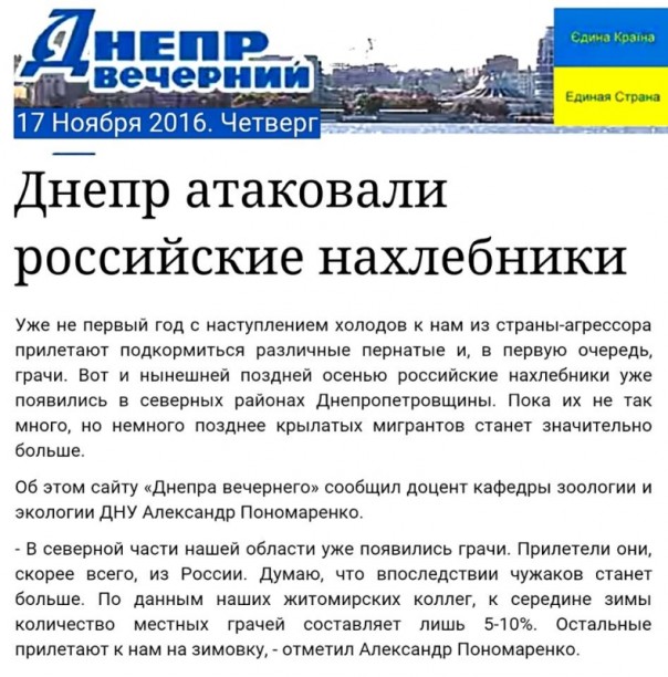 Кое-что о птичках или кто в Днепре хозяин