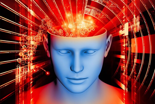 Учёные: Будущих преступников можно выявить по строению их мозга в детстве