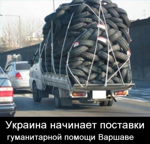 "Мыздобулы" в картинках. Смешных и не очень... 18-12-2016 "Мыздобулы" в картинках. Смешных и не очень... 18-12-2016