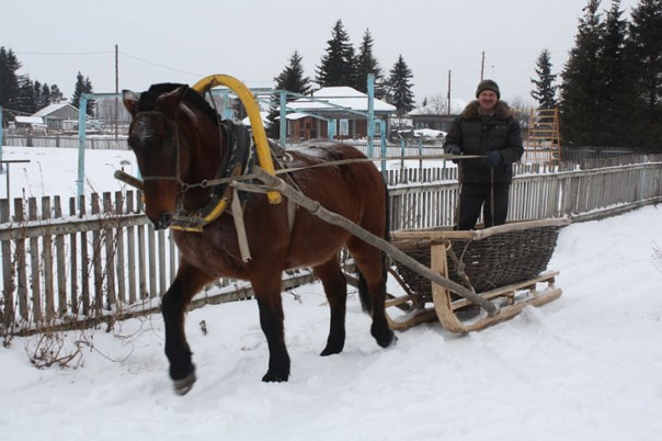 Родители с 10 детьми бежали из Германии в Сибирь из-за уроков сексуального просвещения Родители с 10 детьми бежали из Германии в Сибирь из-за уроков сексуального просвещения