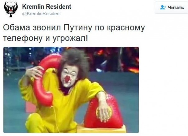 "Мыздобулы" в картинках. Смешных и не очень... 21-12-2016