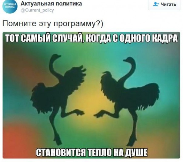 "Мыздобулы" в картинках. Смешных и не очень... 21-12-2016
