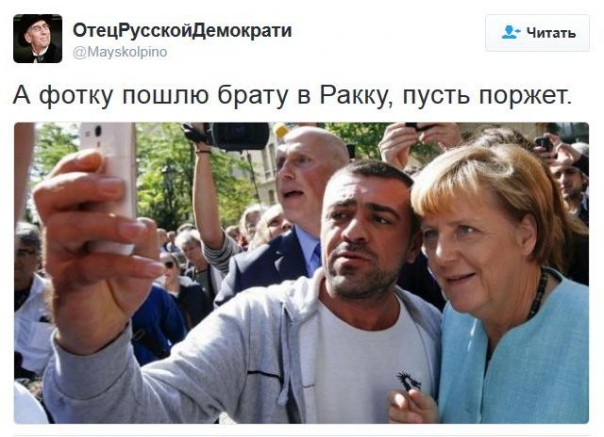 "Мыздобулы" в картинках. Смешных и не очень... 21-12-2016