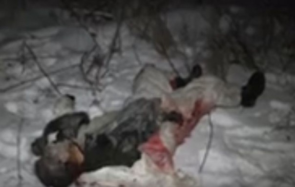 Сводка от НМ ЛНР 22 декабря 2016 года. ВСУ за сутки потеряли 11 убитыми и 8 ранеными при попытках прорваться к Дебальцево Сводка от НМ ЛНР 22 декабря 2016 года. ВСУ за сутки потеряли 11 убитыми и 8 ранеными при попытках прорваться к Дебальцево