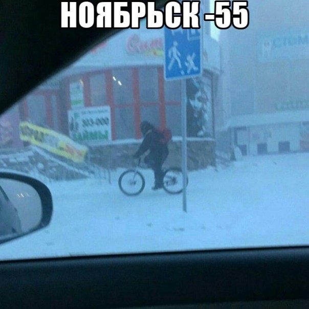 "Мыздобулы" в картинках. Смешных и не очень... 22-12-2016