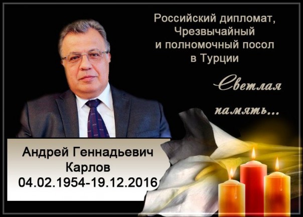 "Мыздобулы" в картинках. Смешных и не очень... 22-12-2016