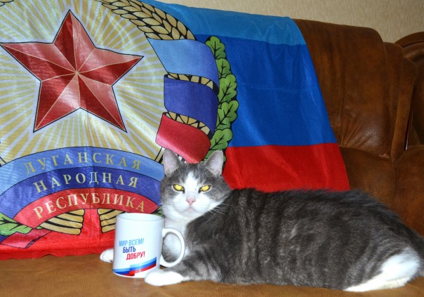 В ЛНР выбрали самого патриотичного кота В ЛНР выбрали самого патриотичного кота