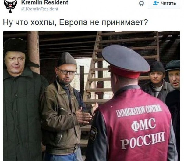 "Мыздобулы" в картинках. Смешных и не очень... 23-12-2016