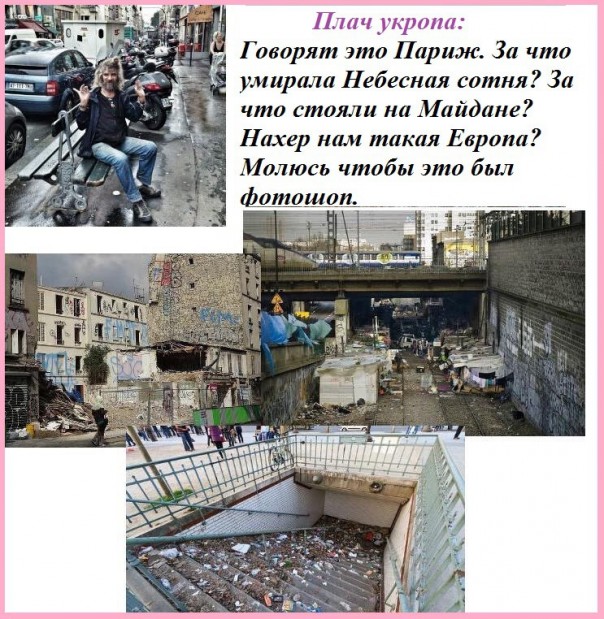 "Мыздобулы" в картинках. Смешных и не очень... 23-12-2016