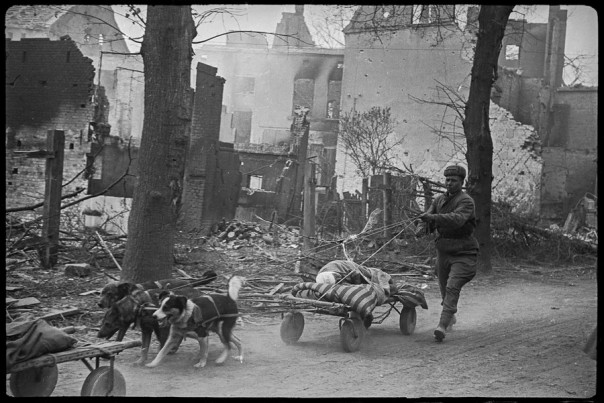 Случайно обнаружились уникальные фотографии Второй мировой войны