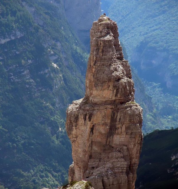 Паркур горных козлов. Цикл Братья наши меньшие