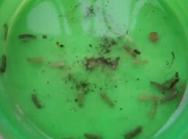 Вода не из Днепра, случаем?