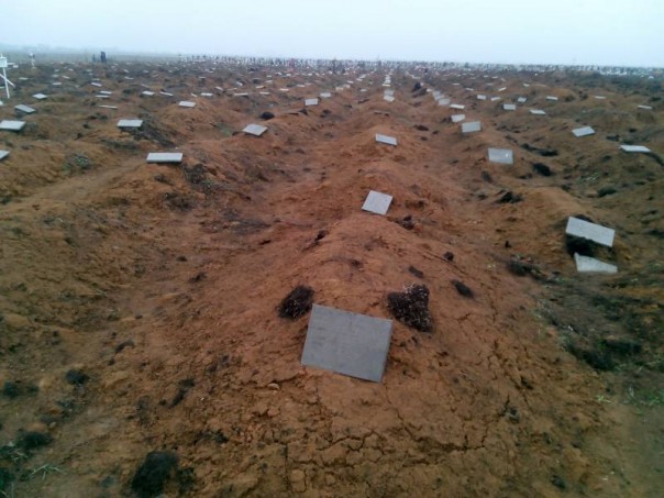 Ехидные комментарии. ВСУ-2016: размышлизмы над цифрами Ехидные комментарии. ВСУ-2016: размышлизмы над цифрами