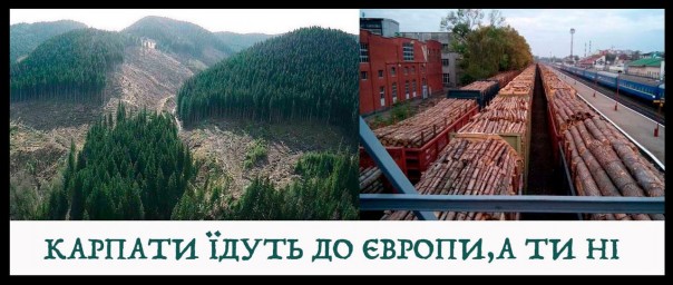 "Мыздобулы" в картинках. Смешных и не очень... 30-12-2016