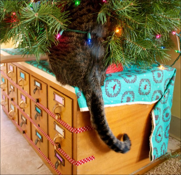 Непростые отношения кошки и новогодней елки