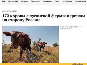 Почему у украинцев зачастую противоречивое мышление