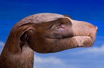 Hand Art – впечатляющие иллюстрации на руках 