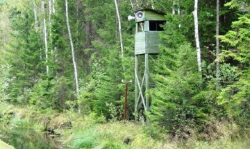 Парк Грутас в Литве (Grūto parkas)