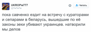 Бродский: «Смотрю я на Савченко и думаю, сколько же у нас дерьма всплыло»