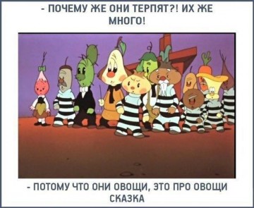 Общество терпил