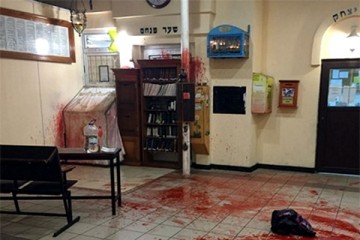 В Умани националисты забросали синагогу свиными головами [18+]