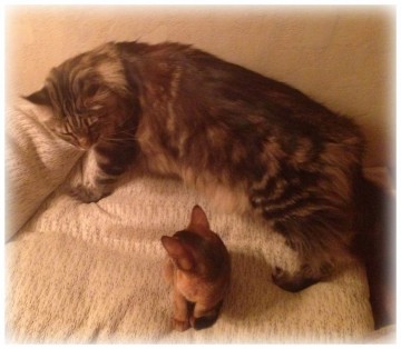 Про Муню и Бусю