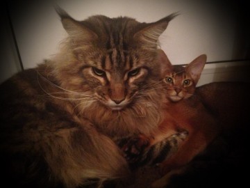 Про Муню и Бусю