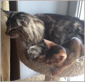 Про Муню и Бусю