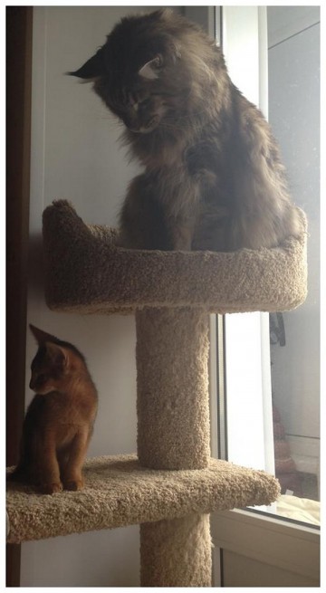 Про Муню и Бусю