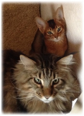 Про Муню и Бусю