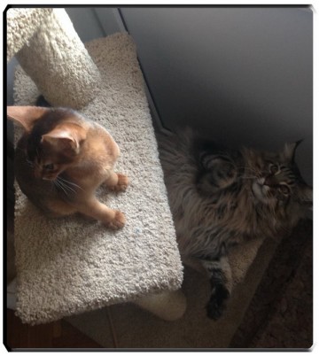 Про Муню и Бусю