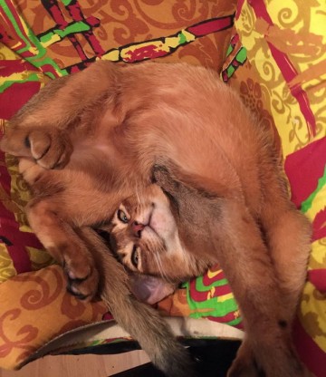 Про Муню и Бусю