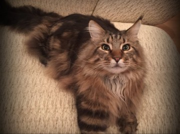 Про Муню и Бусю