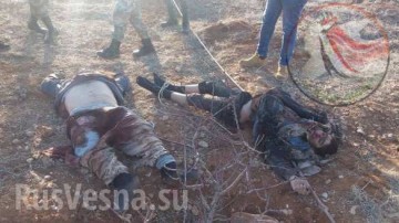 ВКС РФ и Армия Сирии отбрасывает ИГИЛ на 10 км от авиабазы Т-4 под Пальмирой (18+)