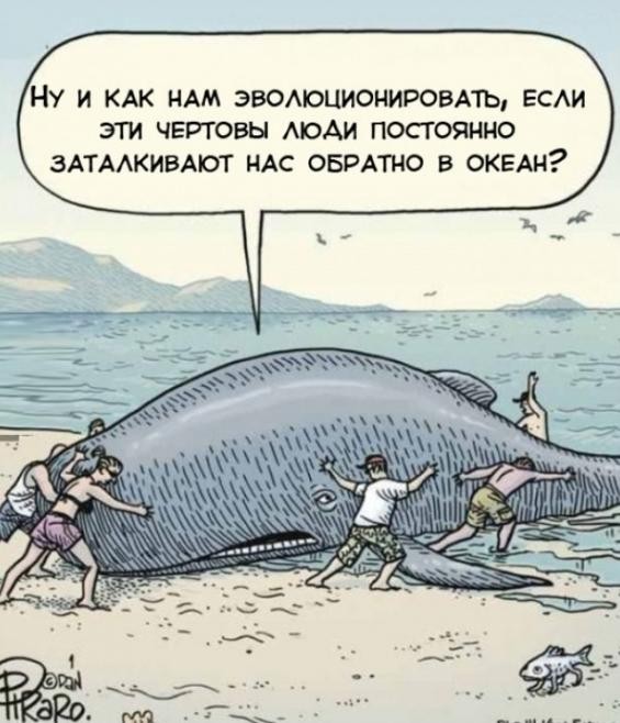 Купили в подарок детскую медицинскую энциклопедию... Купили в подарок детскую медицинскую энциклопедию...