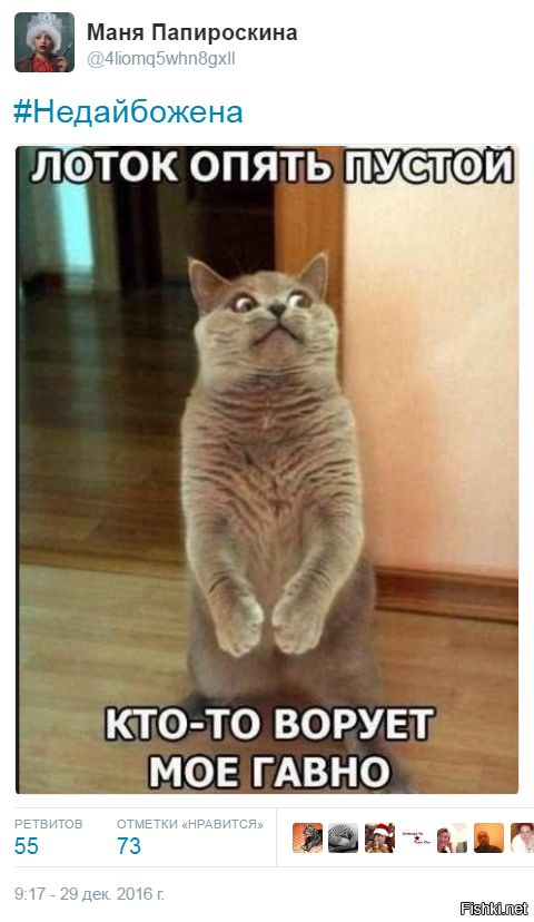 "Мыздобулы" в картинках. Смешных и не очень... 06-01-2017 "Мыздобулы" в картинках. Смешных и не очень... 06-01-2017