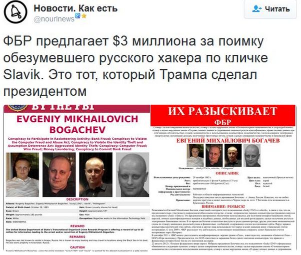 "Мыздобулы" в картинках. Смешных и не очень... 06-01-2017 "Мыздобулы" в картинках. Смешных и не очень... 06-01-2017