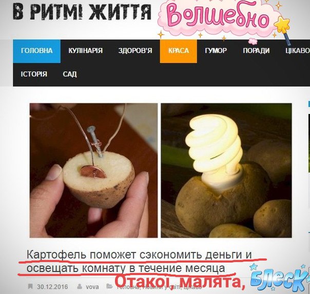 "Мыздобулы" в картинках. Смешных и не очень... 06-01-2017 "Мыздобулы" в картинках. Смешных и не очень... 06-01-2017