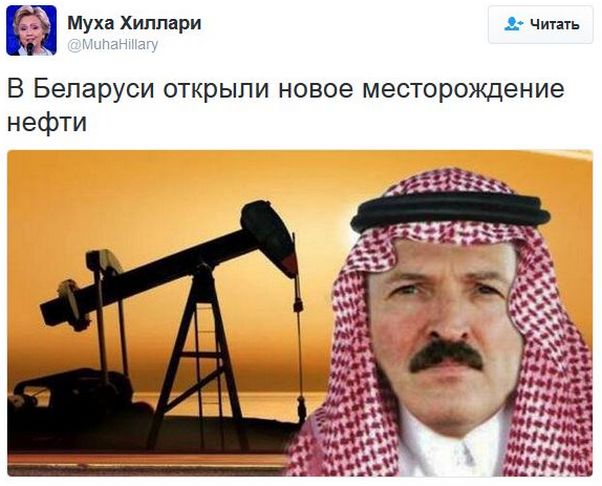 "Мыздобулы" в картинках. Смешных и не очень... 06-01-2017 "Мыздобулы" в картинках. Смешных и не очень... 06-01-2017