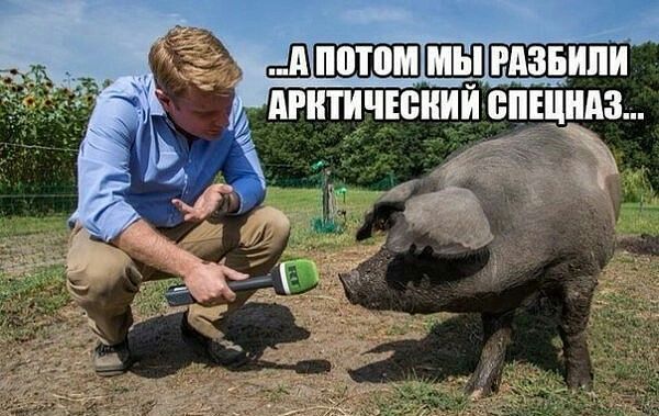 "Мыздобулы" в картинках. Смешных и не очень... 06-01-2017 "Мыздобулы" в картинках. Смешных и не очень... 06-01-2017