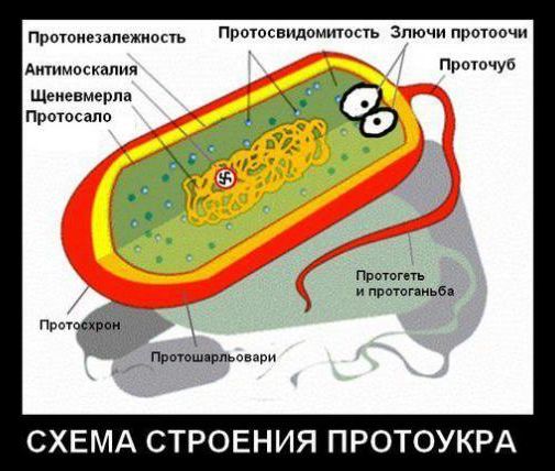 "Мыздобулы" в картинках. Смешных и не очень... 06-01-2017 "Мыздобулы" в картинках. Смешных и не очень... 06-01-2017