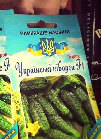 "Мыздобулы" в картинках. Смешных и не очень... 06-01-2017 "Мыздобулы" в картинках. Смешных и не очень... 06-01-2017