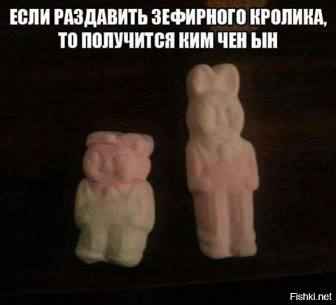 "Мыздобулы" в картинках. Смешных и не очень... 06-01-2017 "Мыздобулы" в картинках. Смешных и не очень... 06-01-2017