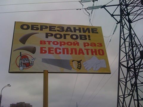 "Мыздобулы" в картинках. Смешных и не очень... 06-01-2017 "Мыздобулы" в картинках. Смешных и не очень... 06-01-2017