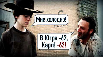 "Мыздобулы" в картинках. Смешных и не очень... 06-01-2017 "Мыздобулы" в картинках. Смешных и не очень... 06-01-2017