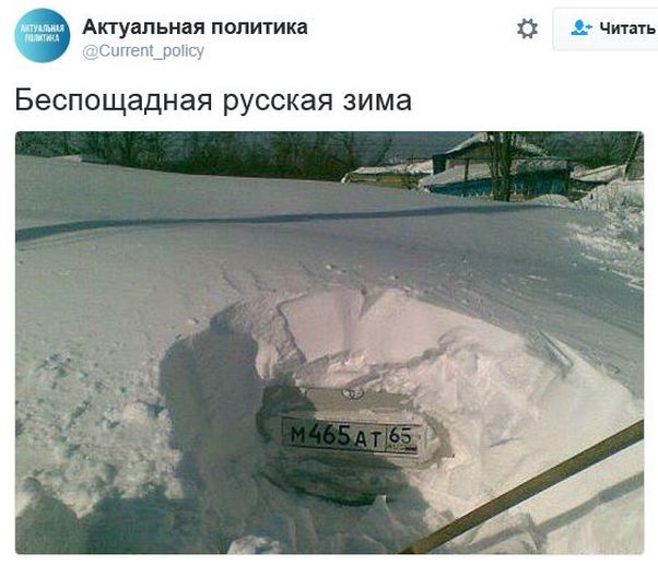 "Мыздобулы" в картинках. Смешных и не очень... 06-01-2017 "Мыздобулы" в картинках. Смешных и не очень... 06-01-2017