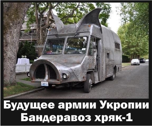 "Мыздобулы" в картинках. Смешных и не очень... 06-01-2017 "Мыздобулы" в картинках. Смешных и не очень... 06-01-2017